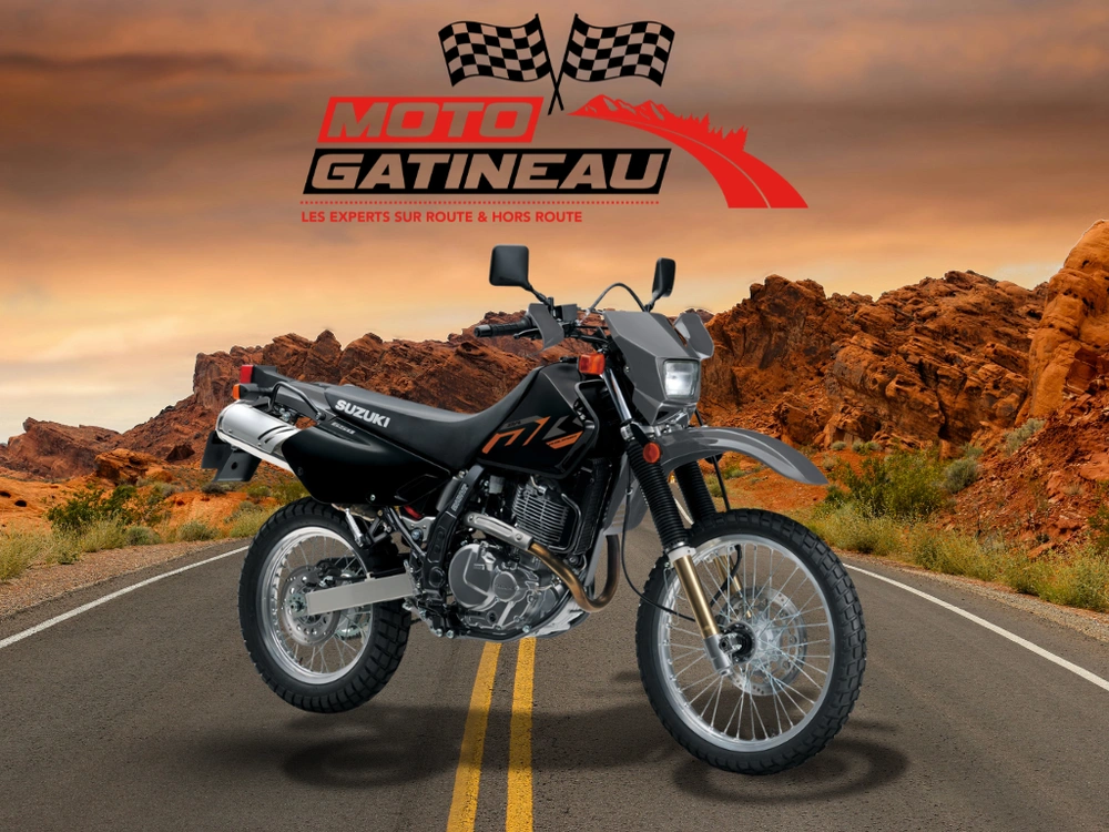 2026 Suzuki Dr650se alt