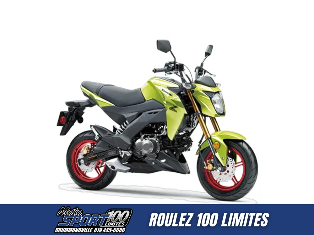 Kawasaki Z125 Pro 2026 alt