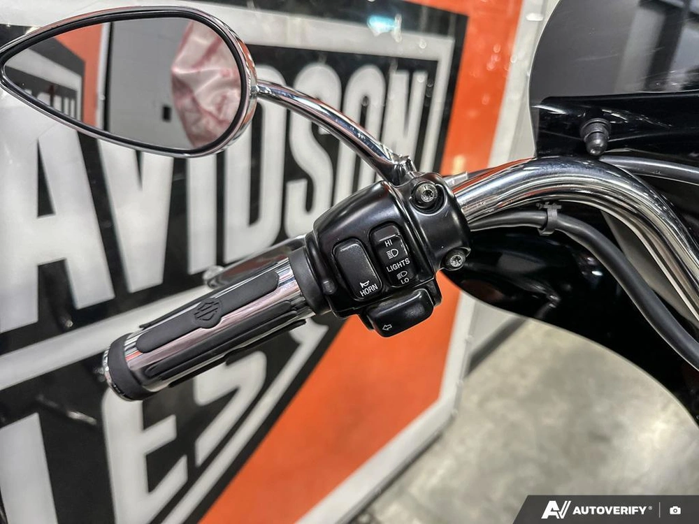 2003 Harley-davidson Softail Standard alt