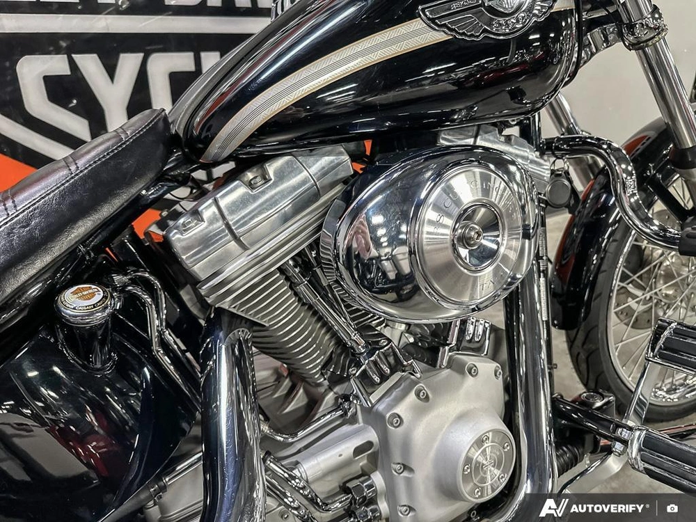 2003 Harley-davidson Softail Standard alt