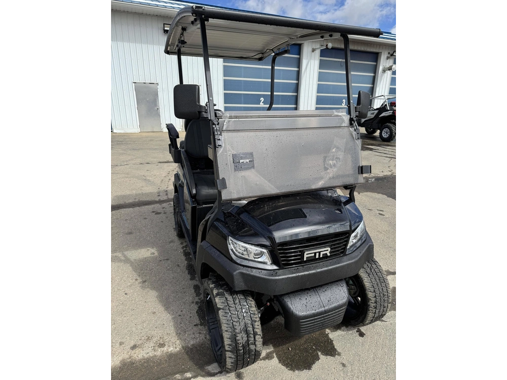 2025 Ftr Golf Cars Model 2+2 Car alt