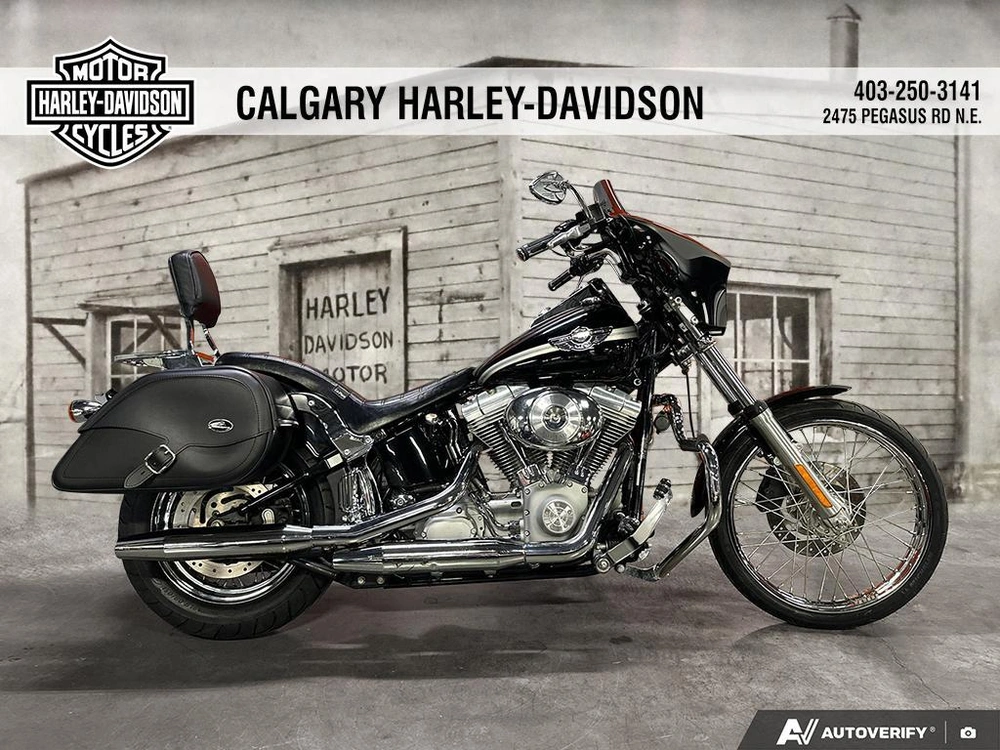 2003 Harley-davidson Softail Standard alt