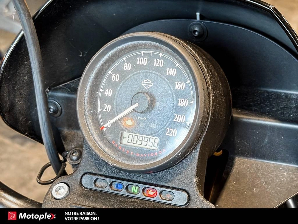2020 Harley-davidson Sportster 1200 Ns Xl1200 alt
