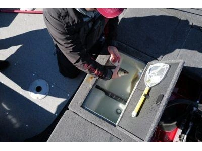 2026 Lund Boat Co 1775 Adventure Sport alt