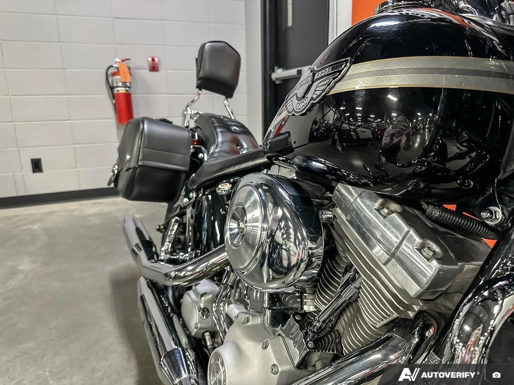 2003 Harley-davidson Softail Standard alt
