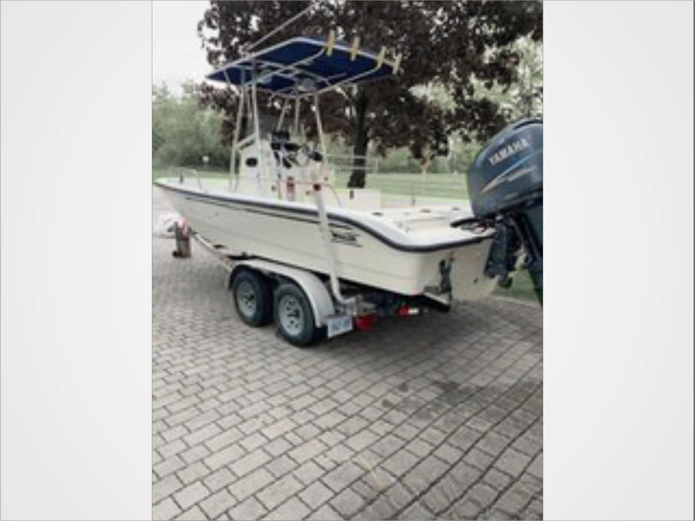 2001 Boston Whaler 220 Dauntless alt