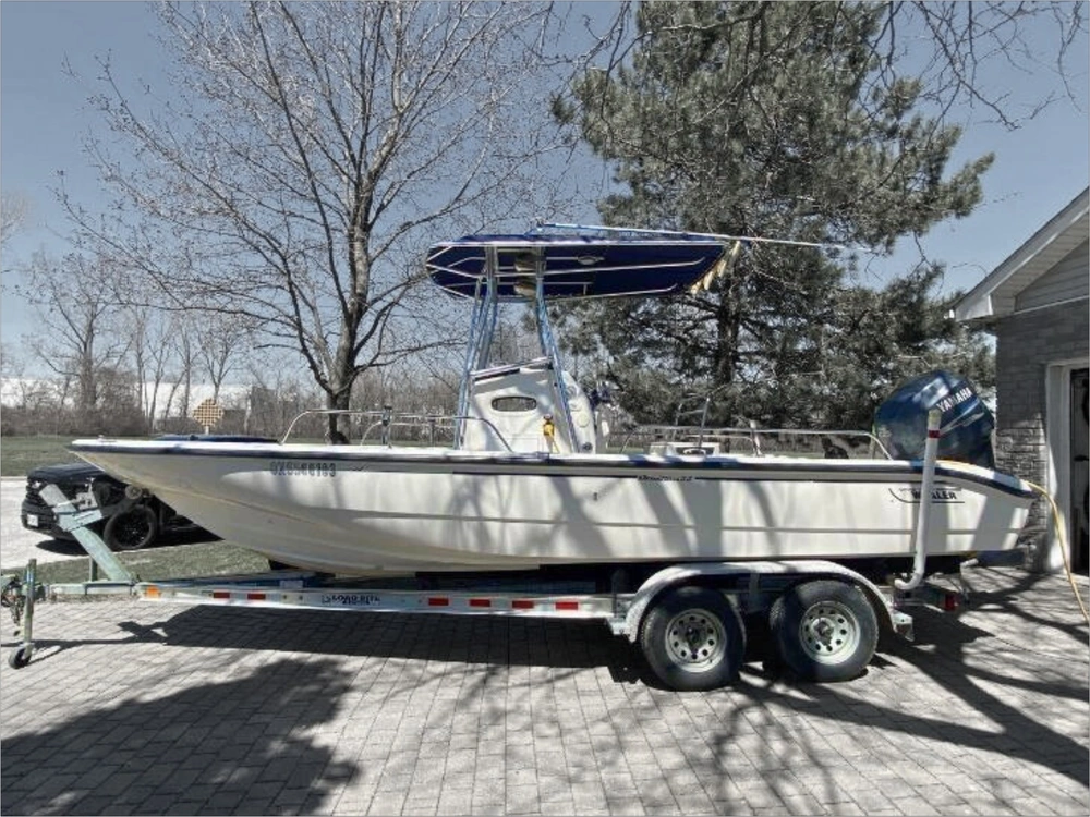 2001 Boston Whaler 220 Dauntless alt