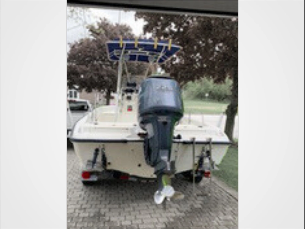 2001 Boston Whaler 220 Dauntless alt
