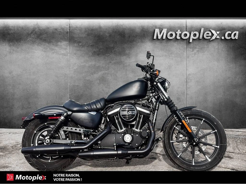 2019 Harley-davidson Sportster Xl883 alt