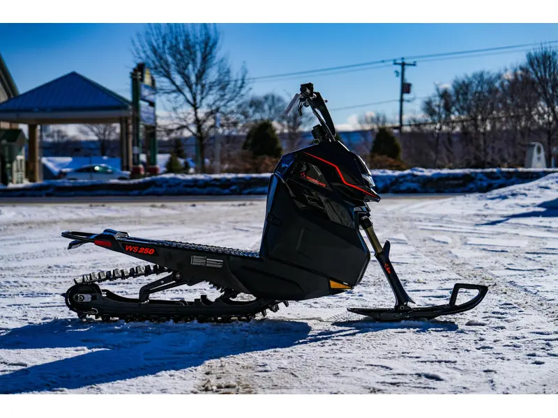 2024 Arctic Cat Widescape 250
