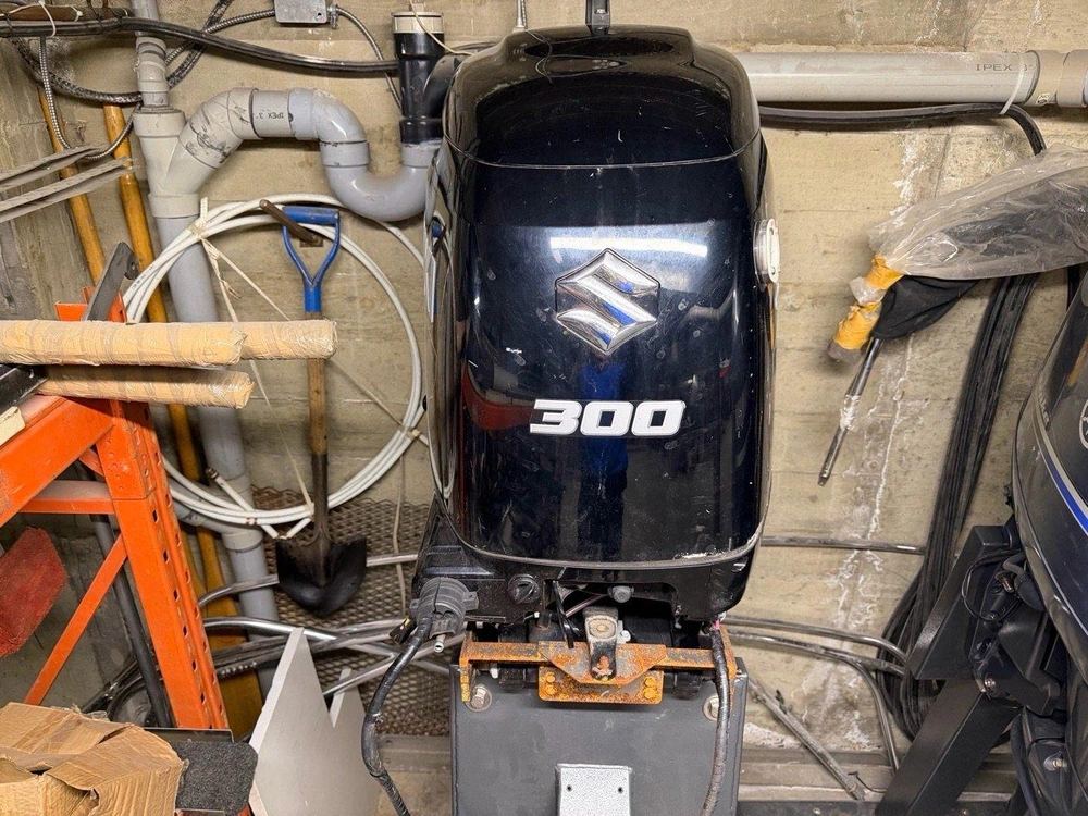 Suzuki Df300apx 2020 alt