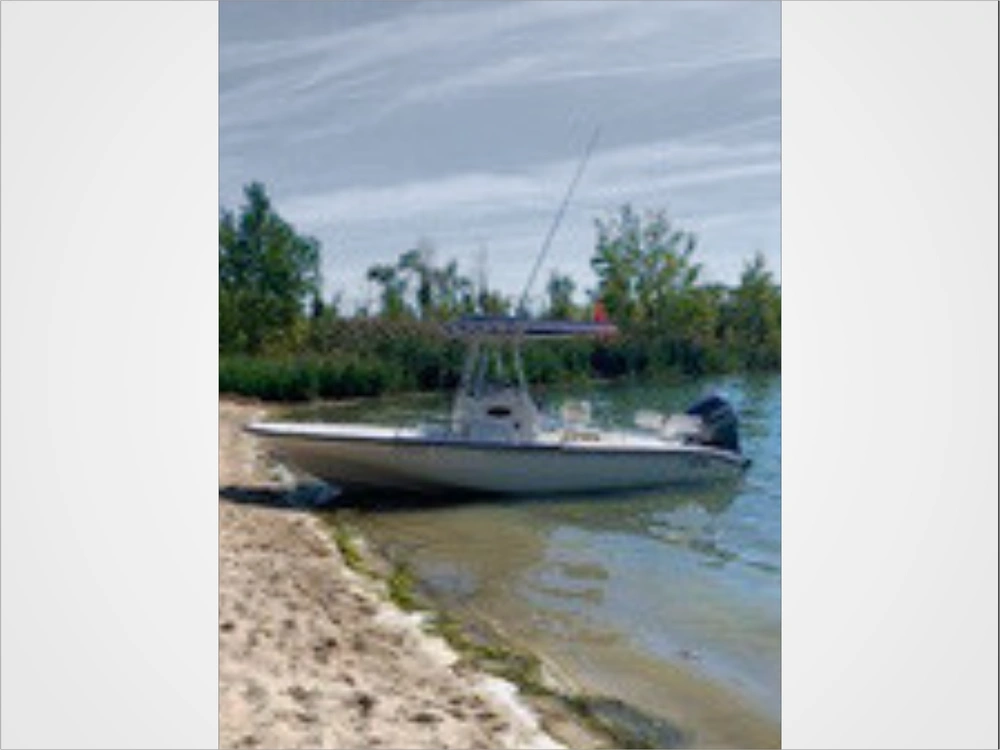 2001 Boston Whaler 220 Dauntless alt