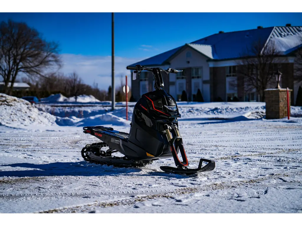 Arctic Cat Widescape 250  2024