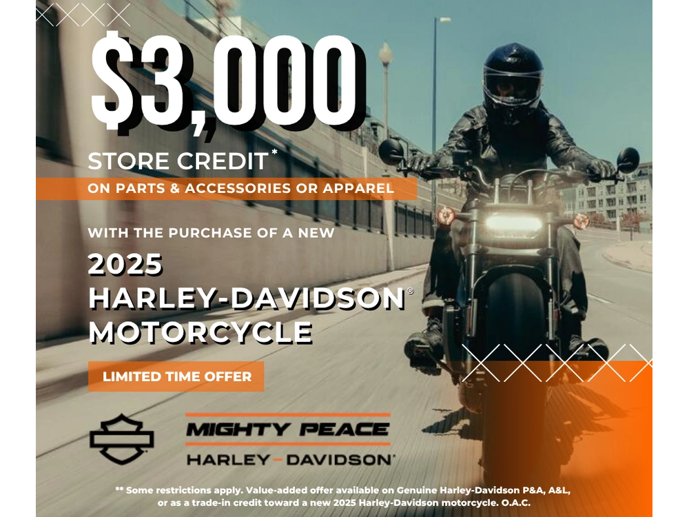 2025 Harley-davidson Cruiser alt
