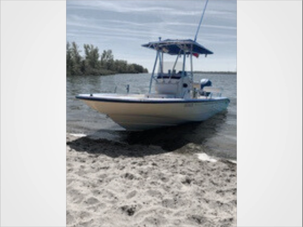 2001 Boston Whaler 220 Dauntless alt