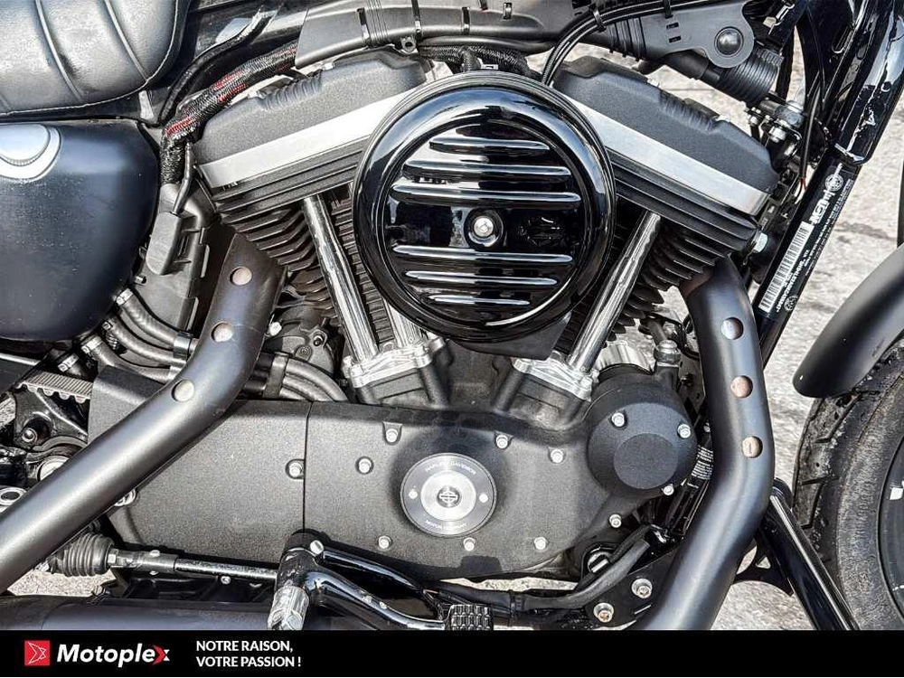 2019 Harley-davidson Sportster Xl883 alt