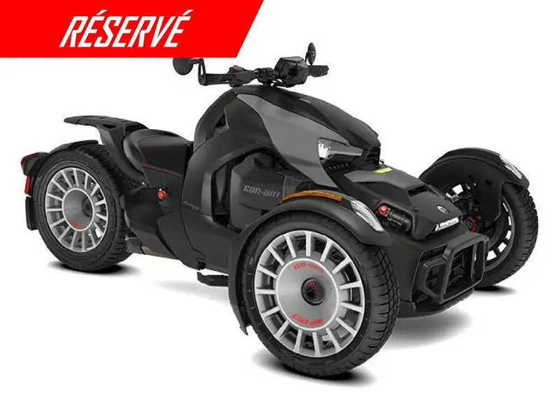 Can-Am Ryker Rallye 900 ACE 2024