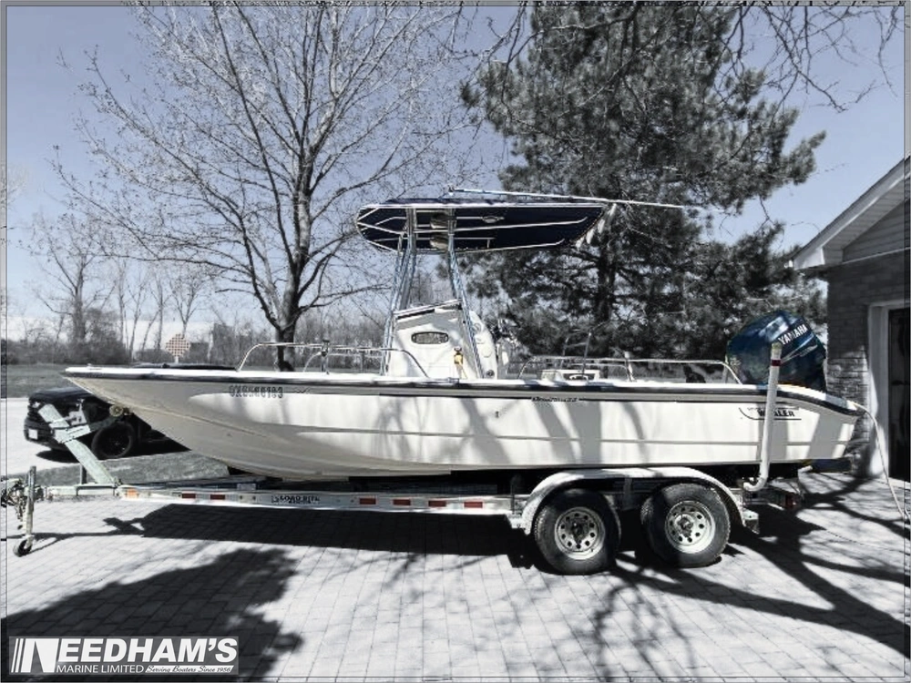 2001 Boston Whaler 220 Dauntless alt