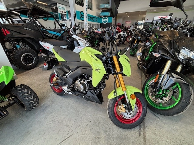 2026 Kawasaki Z125 Pro Z125 Pro Z 125pro 125 Pro alt