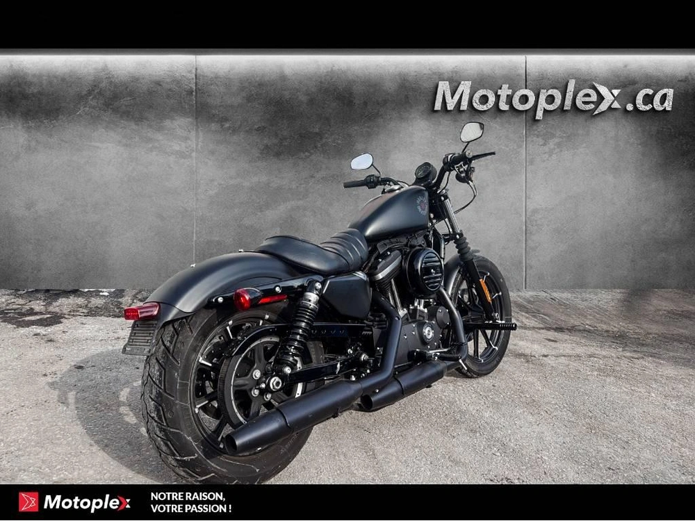 2019 Harley-davidson Sportster Xl883 alt