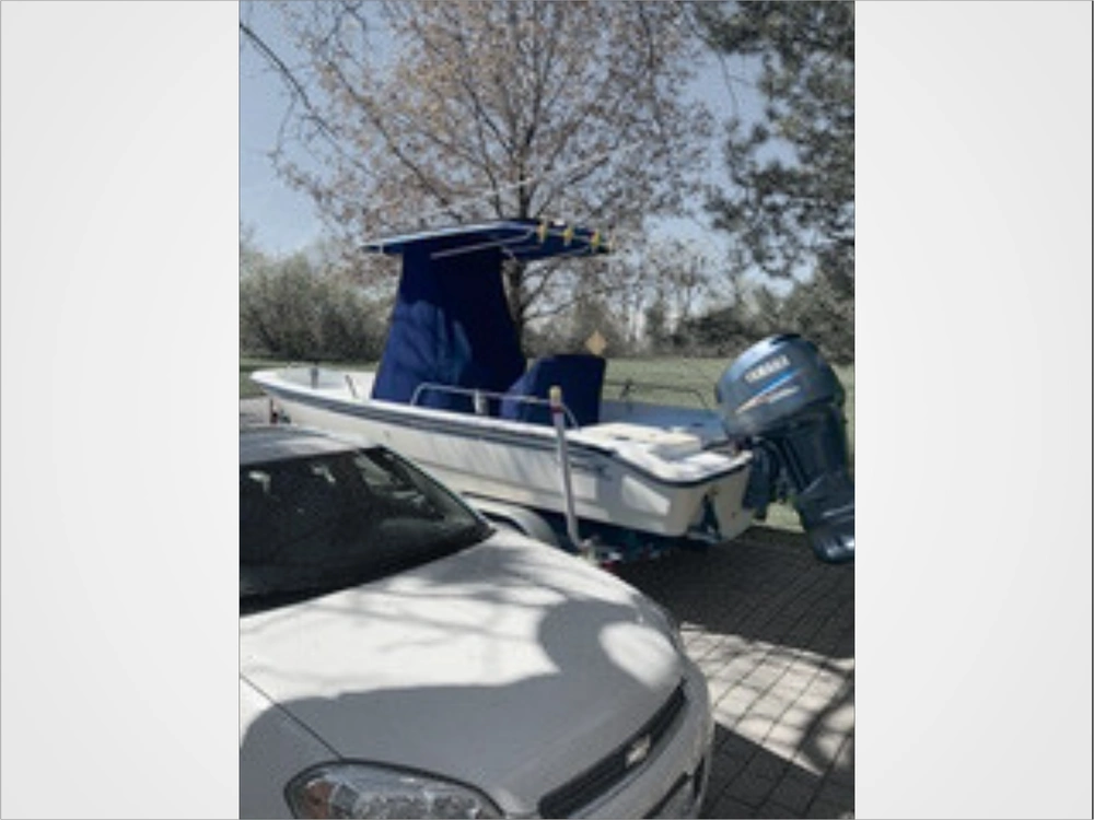 2001 Boston Whaler 220 Dauntless alt