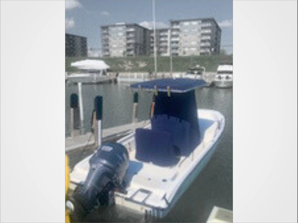 2001 Boston Whaler 220 Dauntless alt