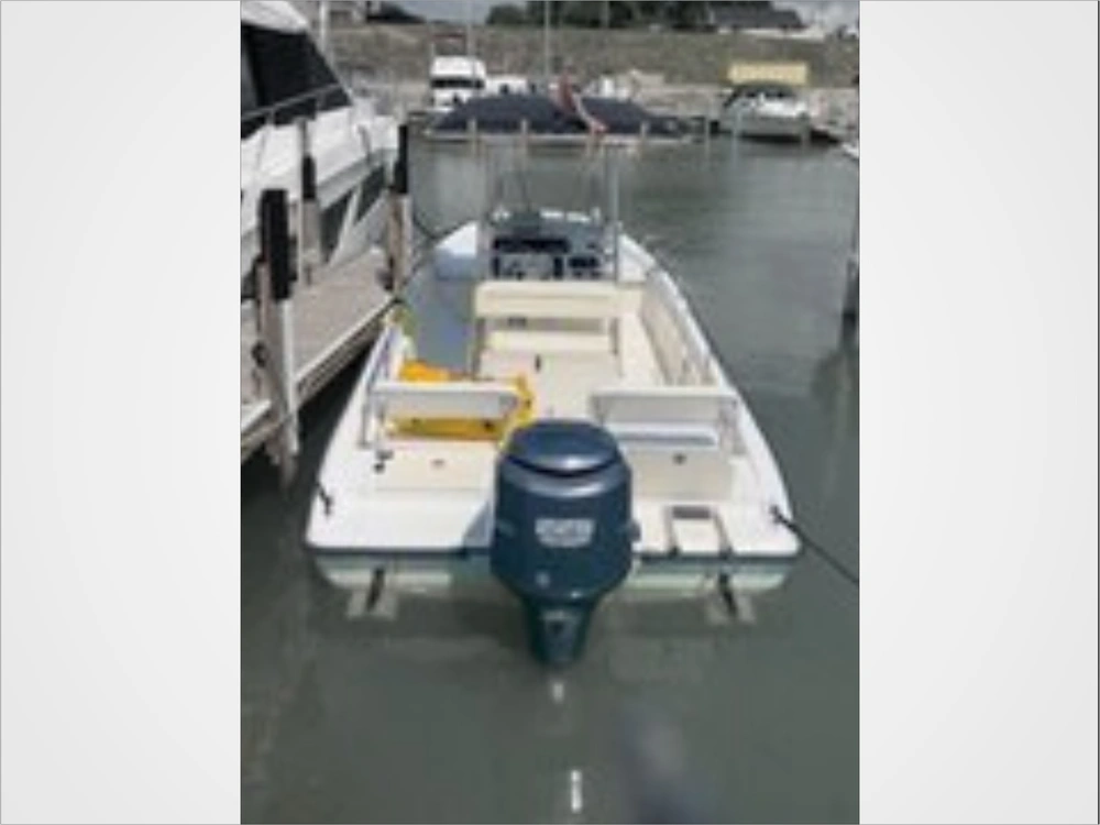 2001 Boston Whaler 220 Dauntless alt