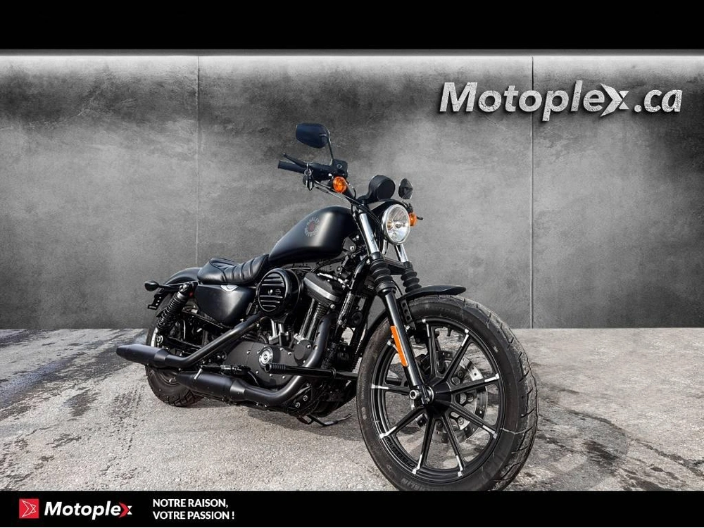 2019 Harley-davidson Sportster Xl883 alt
