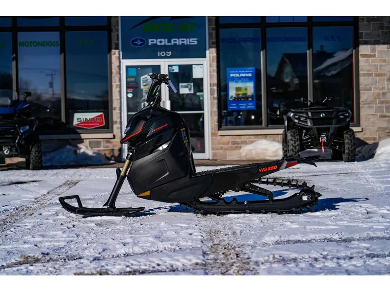2024 Arctic Cat Widescape 250