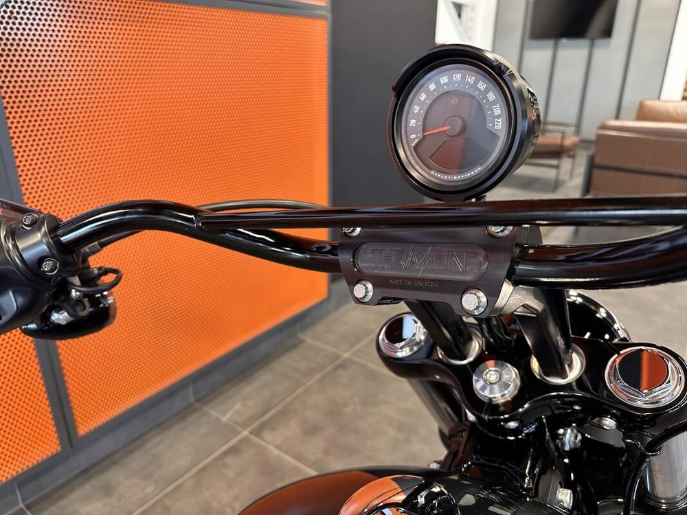 2025 Harley-davidson Cruiser alt