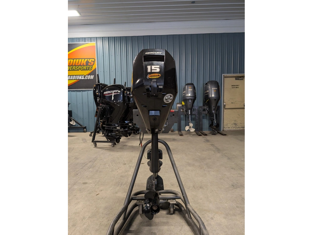 2019 Mercury 15elh alt