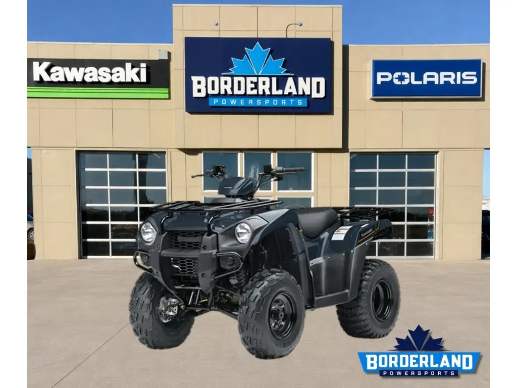 2025 Kawasaki Brute Force® 300