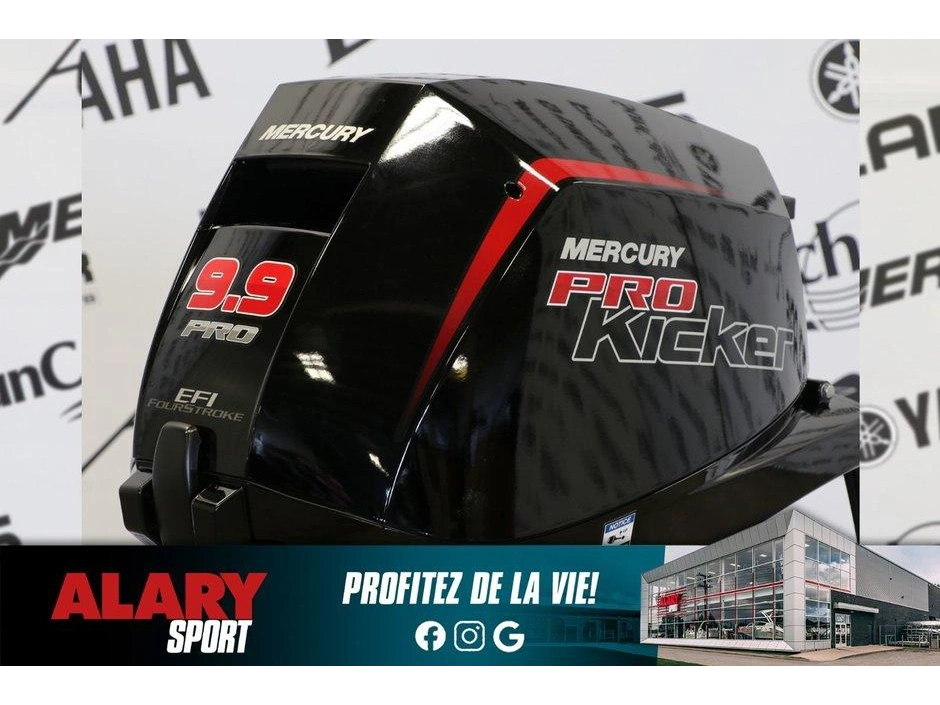 2024 Mercury Mercury 9.9elpt Pk Efi À Démarreur Élèctrique, Long (20 Pouces) alt