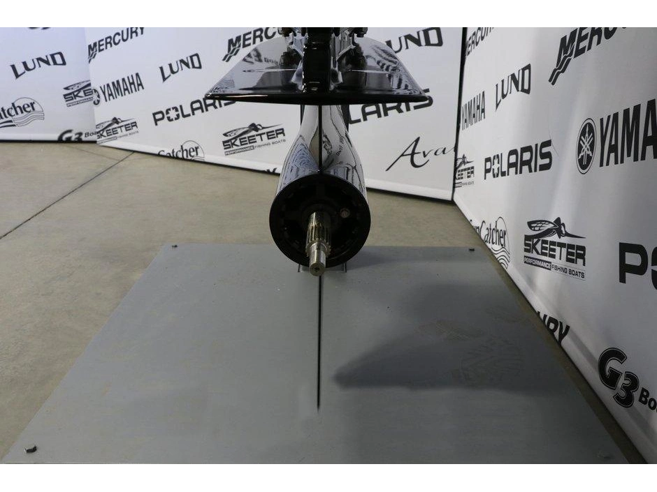 2026 Mercury Mercury 250xl X-long (25 Pouces) alt