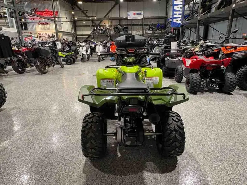 Yamaha Grizzly 110 2026