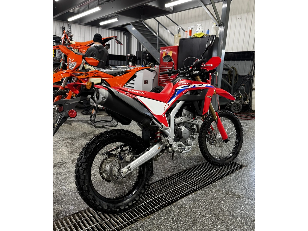 Honda Crf300l 2022 alt