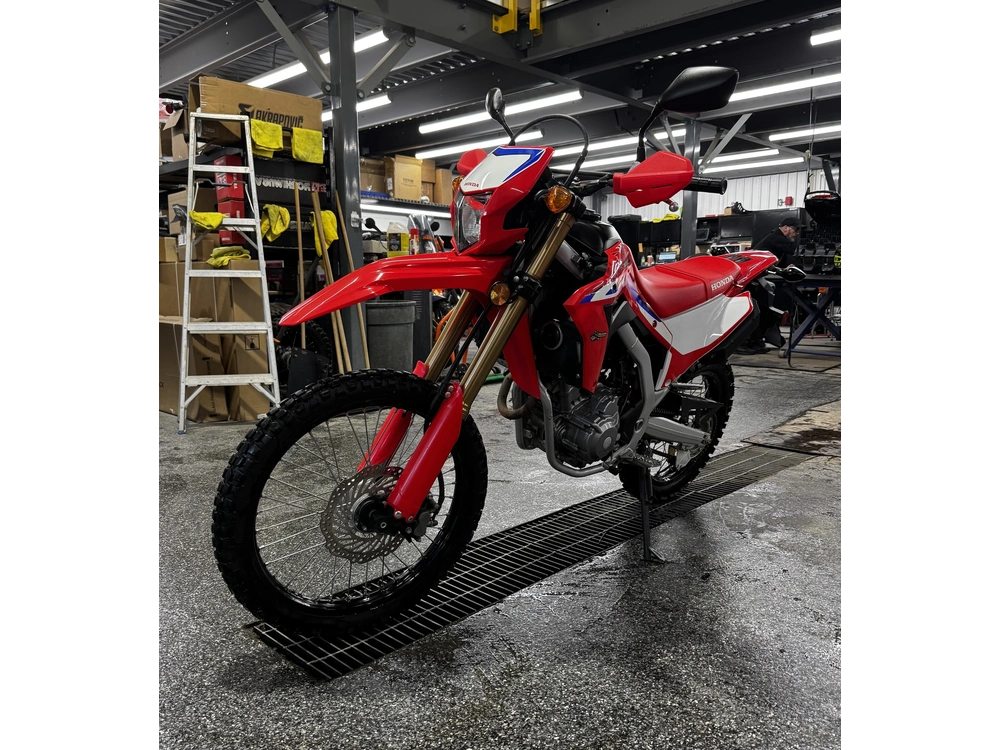Honda Crf300l 2022 alt