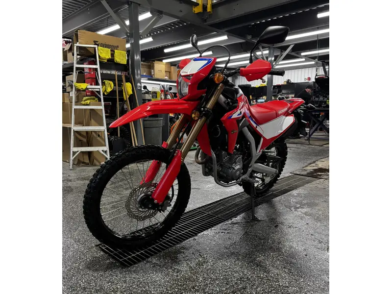 2022 Honda CRF300L thumbnail 6
