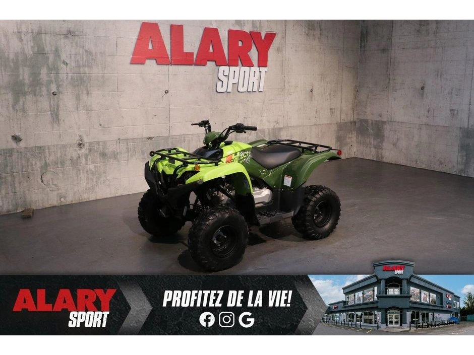 2026 Yamaha Yamaha Grizzly 110 alt