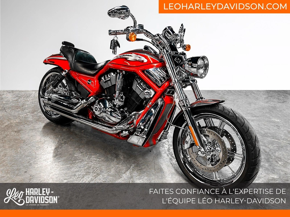 2006 Harley-davidson Vrscse Cvo V-rod alt
