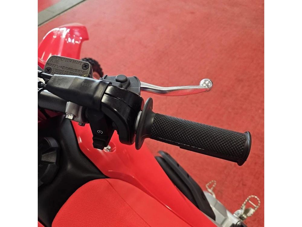 2026 Honda Crf300ft alt