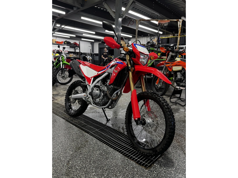 Honda Crf300l 2022 alt