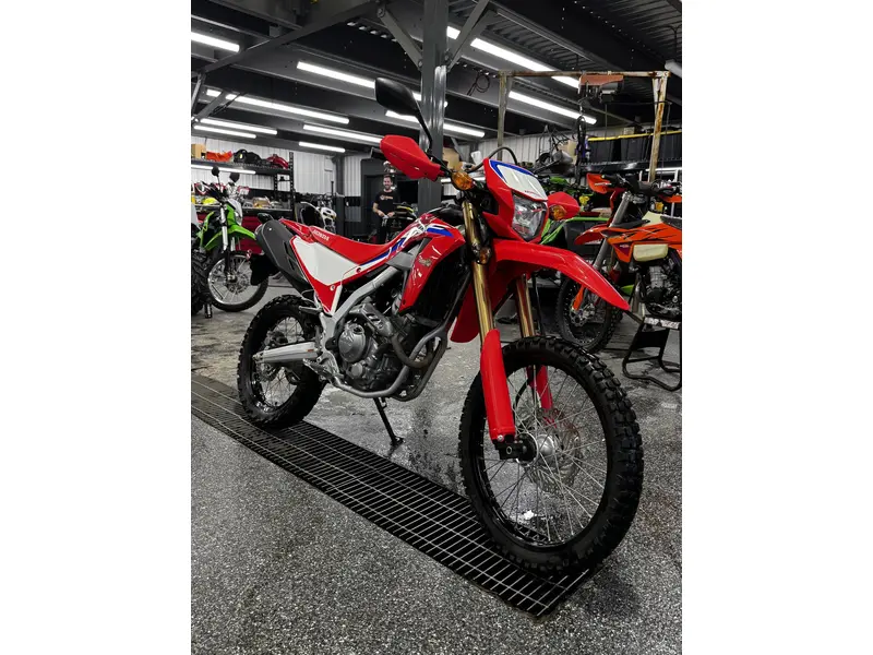 2022 Honda CRF300L thumbnail 8