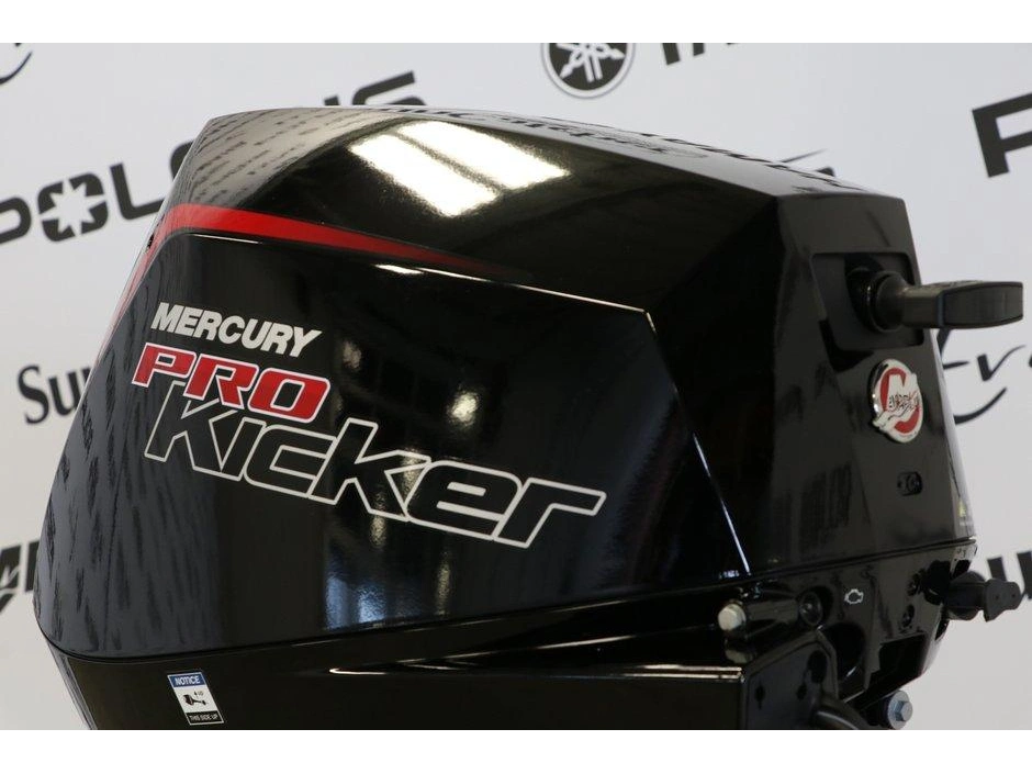 2024 Mercury Mercury 9.9elpt Pk Efi À Démarreur Élèctrique, Long (20 Pouces) alt