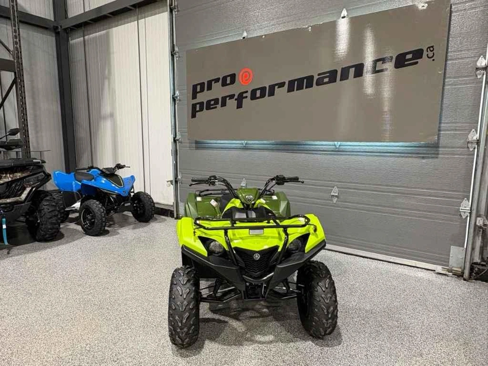 Yamaha Grizzly 110 2026 alt