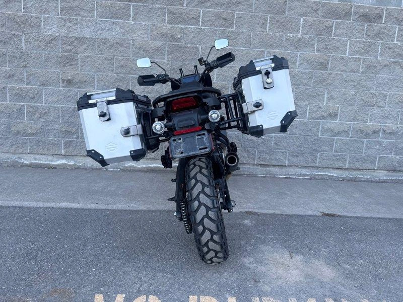 2021 Harley-davidson Ra1250 - Pan America™ 1250 alt