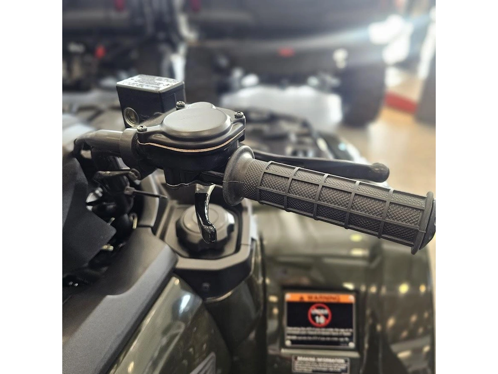 2026 Honda Fourtrax Foreman 4x4 alt