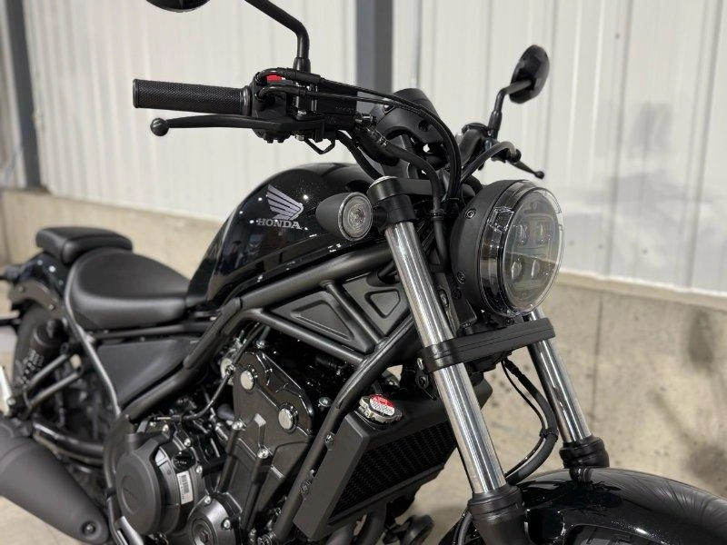 Honda Rebel 500 (abs) 2026 alt