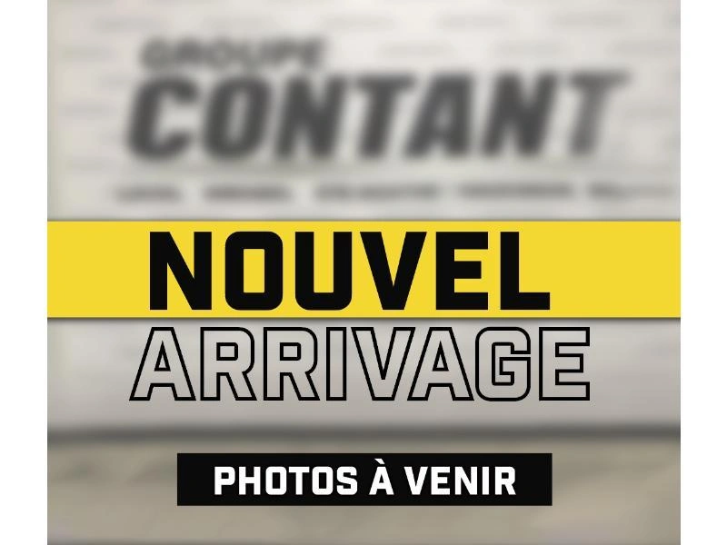 Sea-doo Remorques Switch 19 2024 alt