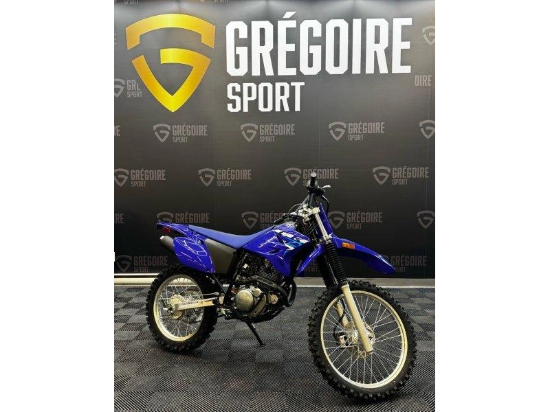 Yamaha Tt-r230 2026 alt